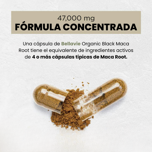 Maca Negra Peruana 40x + Ashwagandha KSM-66