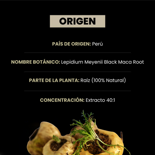 Maca Negra Peruana 40x + Ashwagandha KSM-66