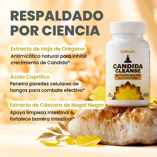 Cápsulas Balance Candida – Equilibrio Intestinal Natural